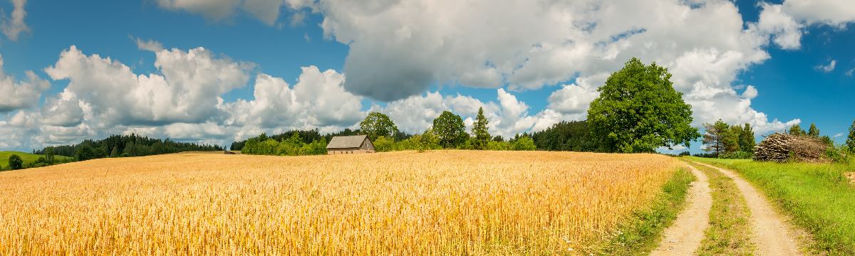 <h3 class='isdemoH3'>191: System Dynamics and Innovation Food Networks</h3><br />Garmisch-Partenkirchen <a tabindex = '-1'  href='http://www.fooddynamics.org/dates_reg/registration.html'> Details »</a>